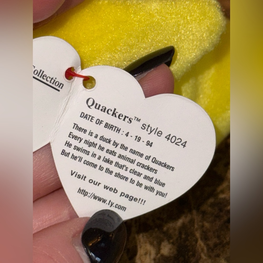 🦆 TY Beanie Baby Duck Lot Quackers & Duck-e (4 Total) - Picture 6 of 10